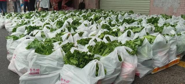 106吨蔬菜送达!钱大妈为白云区捐赠100万元爱心蔬菜包