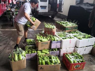 金华市蔬菜价格上涨 季节因素是主因